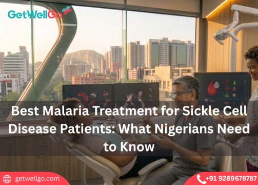 Best Malaria Treatment for Sickle Cell Disease Patients: What Nigerians Need to Know