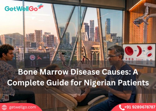Bone Marrow Disease Causes: A Complete Guide for Nigerian Patients