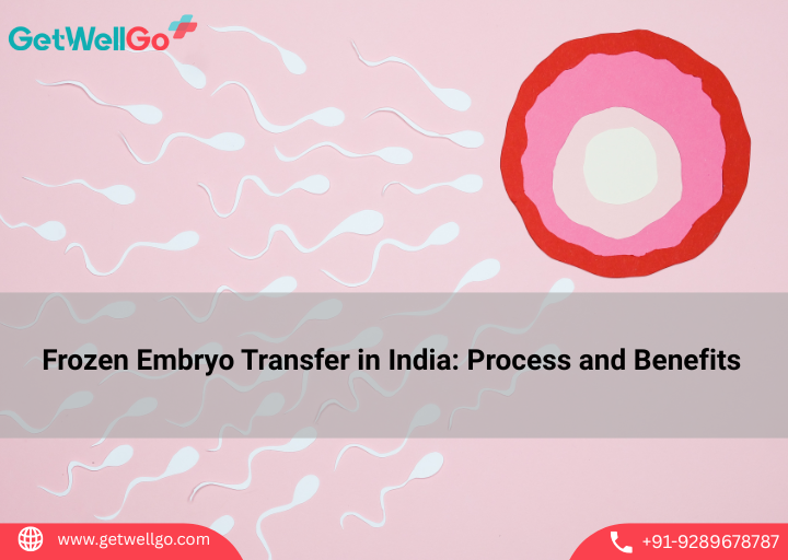 Frozen Embryo Transfer in India: Process and Benefits