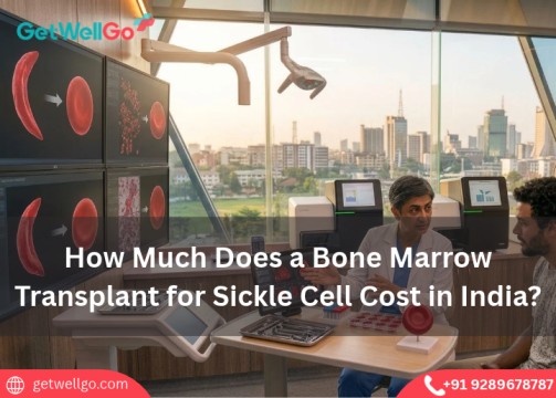 How Much Does a Bone Marrow Transplant for Sickle Cell Cost in India?