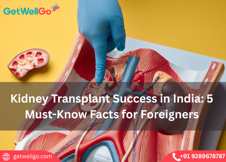 Kidney Transplant Success in India: 5 Must-Known Facts for Foreigners