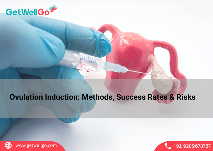 Ovulation Induction: Methods, Success Rates & Risks