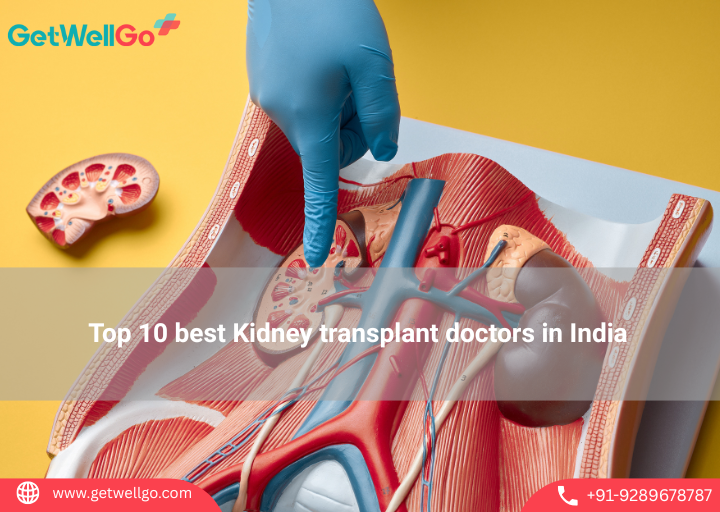 Top 10 Best Kidney Transplant Doctors in India