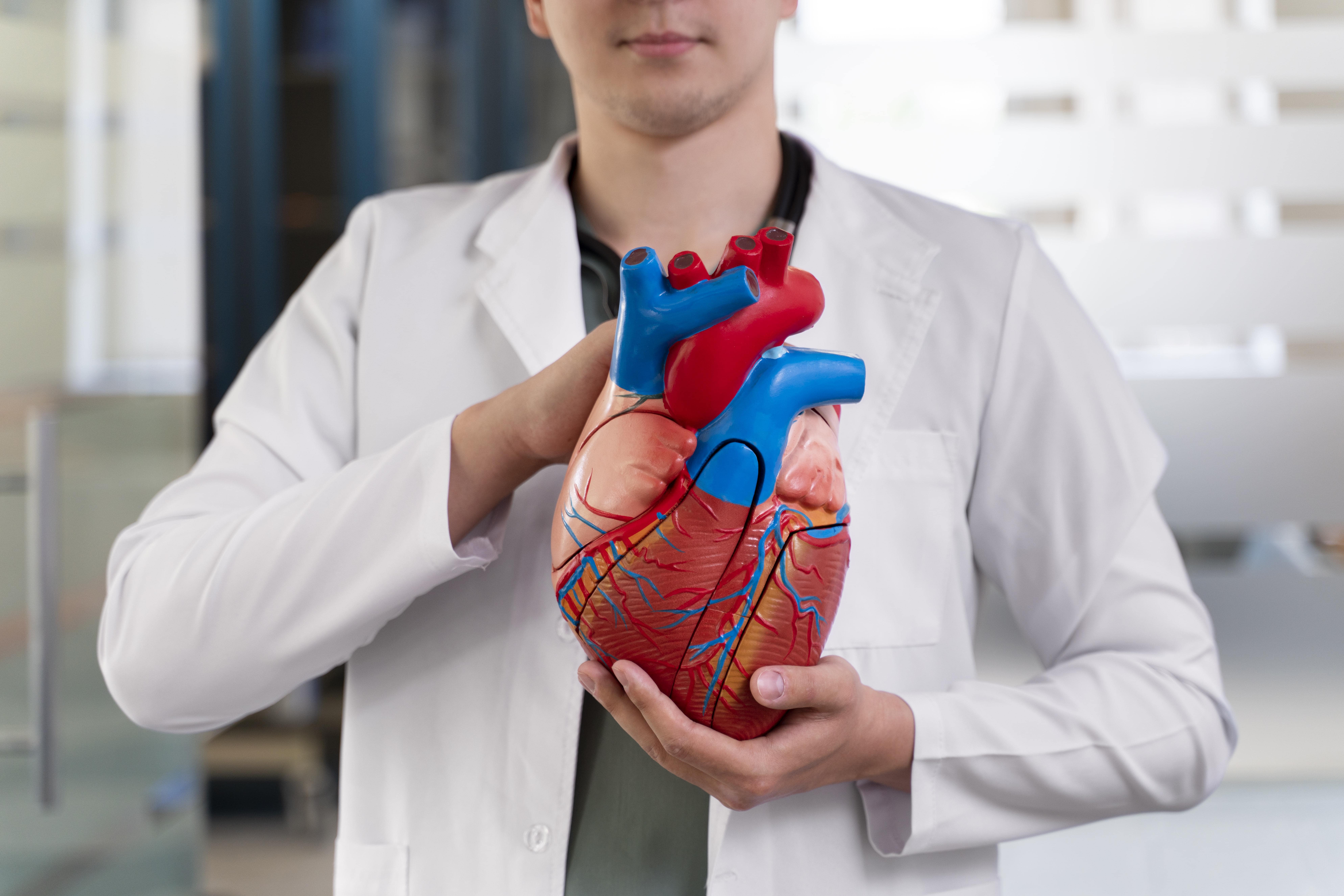 Transmyocardial Laser Revasularization (TMR): Procedure & Risks