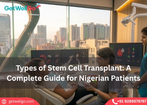 Types of Stem Cell Transplant: A Complete Guide for Nigerian Patients